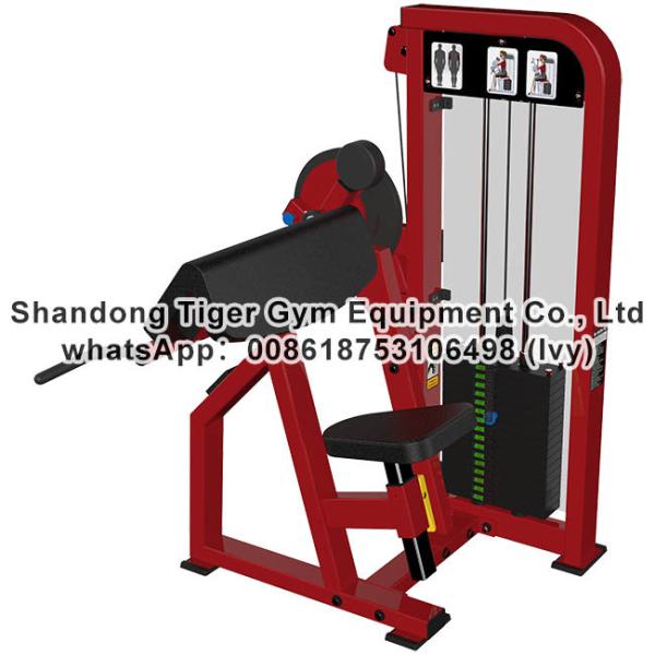 Gym Fitness Equipment Biceps / Triceps exercise machine
