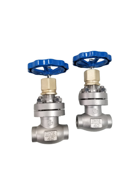 Buy Cryogenic Globe DN15 Socket Weld Globe Valve Temperature -80C at wholesale prices
