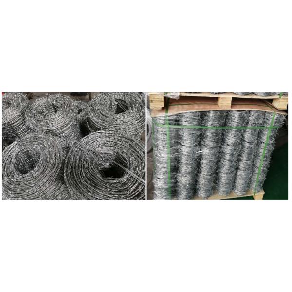 Q195 Steel Galvanized 2mm Razor Barbed Wire