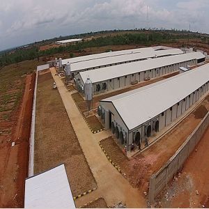 Galvanized Steel Poultry House with Gable Roof and Bolts Connection