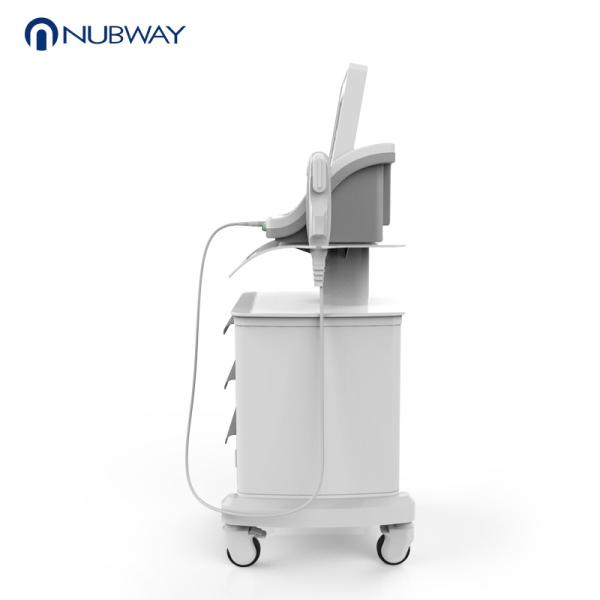 Buy HIFU wrinkle removal and skin tightening machine with 300W input power in best price at wholesale prices
