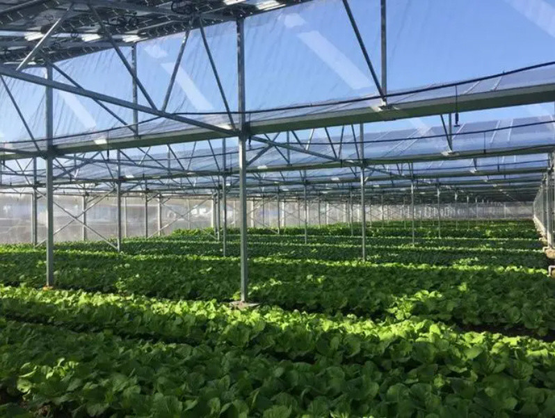 Shipping Cost and Estimated Time for Multi-Span Arch Type Illuminate Solar