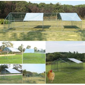 Rust Resistant 8x3m Chicken Run Kennel For Safety