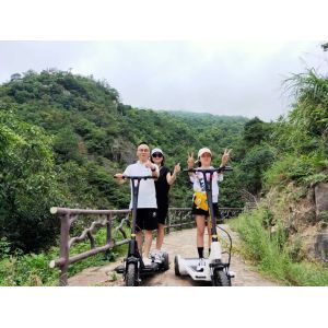 250W Foot Running 3 Wheel Foldable Electric Scooter