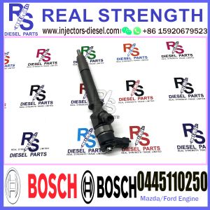BOSCH injection 0445110250 0445110249 Diesel Fuel Common Rail Injector