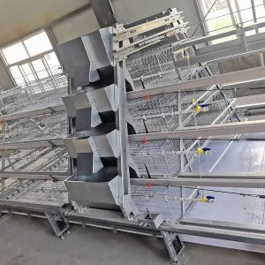 China 4 Tiers Baby Chick Cage on sale