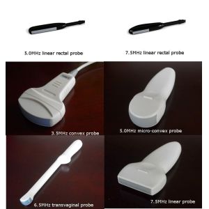 Quality Integrated Design Derma Stamp Pen Titanium 25pins Microneedling Therapy System For MTS for sale