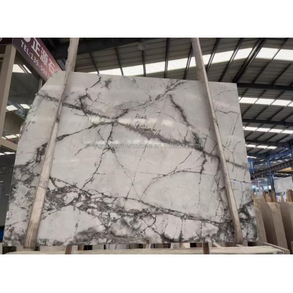 Polished Arabescato White Italian Marble Slab for Modern Wall and Round Dining Table