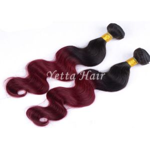 No Lice Ombre Virgin Hair Extensions Long-Lasting And Lustrous