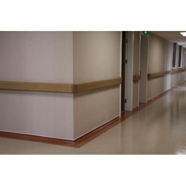 AFSJ-65mm PVC hospital hallway handrail extrusion machine, CE certificate