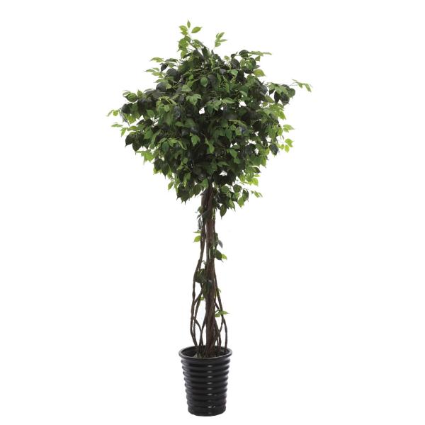 220cm Height PU Stem Ficus Tree