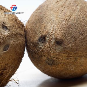 Coconut Sheller coconut milk processing production Supplying Machine