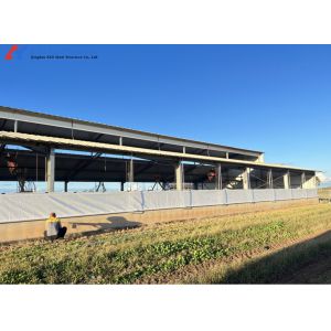 Customized Piggery Shed Steel Structure Animal Husbandry Green House