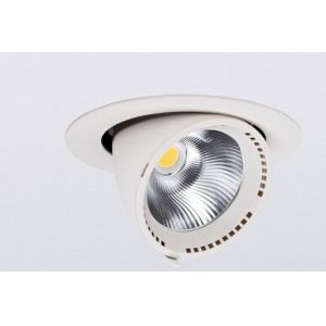 Dimmable GIMBAL LED Downlight, 20W SMD2835 Epistar COB LED Down Light