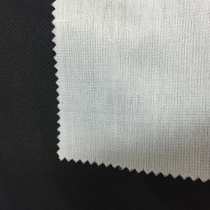 Fashion Polyester Material Fabric Dyed 300T Pongee Waterproof Compound Fabric