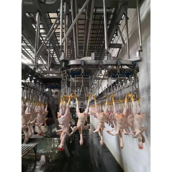 Buy Durable Chicken Slaughtering Line Automatic Slaughtering Machine TUV Approved at wholesale prices