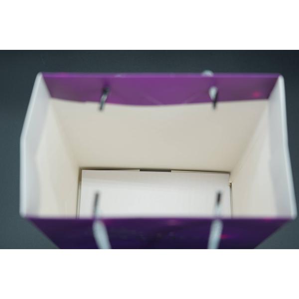 Customizable Printable Natural Kraft Paper Bags In Bulks With Twisted Handles Kraft Paper Bag Manufacturers Paper Shoppi