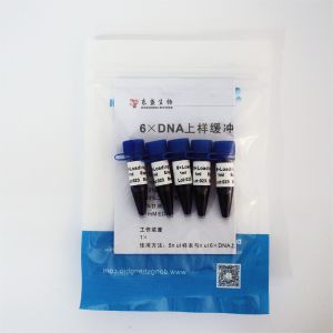 Two Color DNA Electrophoresis Buffer GDSBio Gel Electrophoresis Buffer
