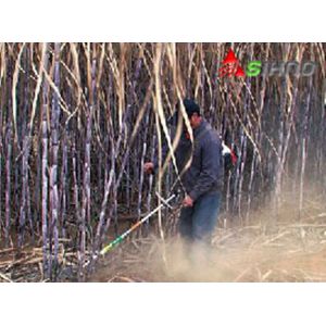 Small Multi-Purpose Lawn Sugarcane Harvester for Sugarcane,