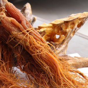 Manufacturer Supply Antioxidant Panax Ginseng Berry Extract With Free Sample