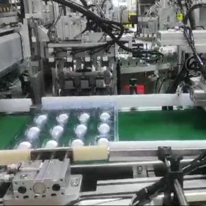 Automatic Nasal Swab Assembly Machine with Servo Motor