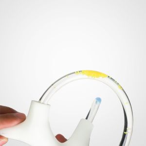 Balance Cochlea Inner Ear Cranial Nerve Rehabilitation Anatomical Function