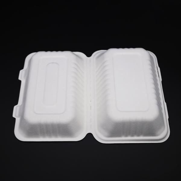 Disposable Biodegradable Sugarcane Bagasse Dinnerware Sets