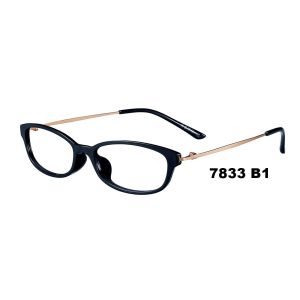Young Generation Optical Plastic Metal Eyeglasses Frames Food Contact Material