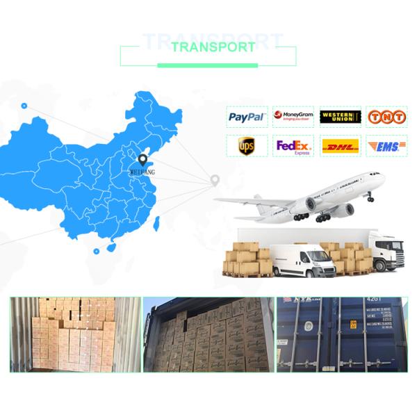 Pulp Moulding Plastic T Shirt Bag For Supermarket And Shopping Eco Friendly Material