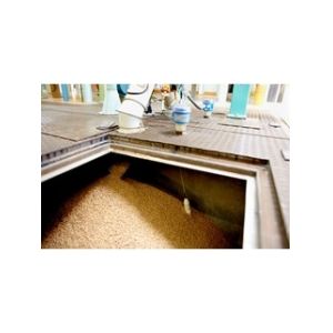 Capacitance Point Level Detection Minicap FTC262 FTC262-AA14I1