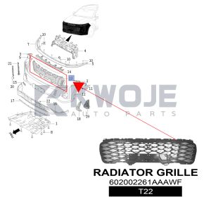 OEM EXEED T22 Radiator Grille In Car 602002261AAAWF