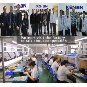 Male-Female Gender Customized Connector for Toyota Auto Wiring Harness ISO9001