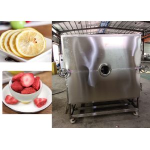 Automatic Electric Freeze Dryer With Leybold Refrigeration Unit