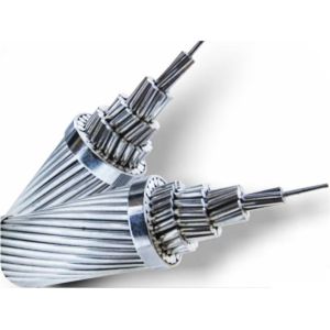 LV / MV Dog Panther Zebra Conductor A CSR Conductor