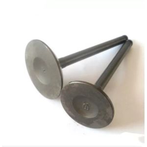 TEM MD159502 Mitsubishi 4G63 Exhaust Valve And Intake Valve MD197193