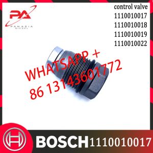 1110010017 Common Rail Fuel Pressure Relief Valve 1110010018 1110010019