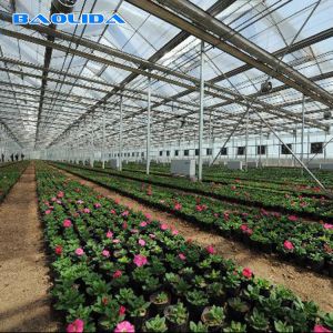 Steel Structure Polythene Tunnel 4 Mil Plastic Sheeting Greenhouse