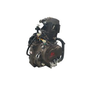 DAYANG 250cc Super Cool Motorcycle Engine Single Cylinder 4 Stroke Style