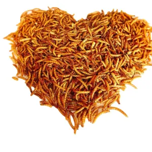 Premium Dried Mealworms - Sino Crown for Mealworms Fish Food