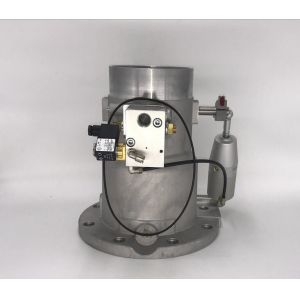 Carton Package Screw Air Compressor Intake Valve Spare Parts