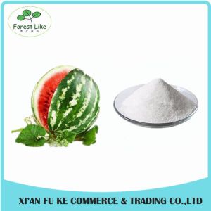 Manufacture Sales Directly GMP Certificate Watermelon Extract L- citrulline