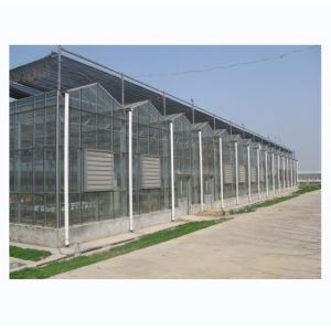 Large Agricultural Greenhouse with Galvanized Steel Frame and Optional Cooling
