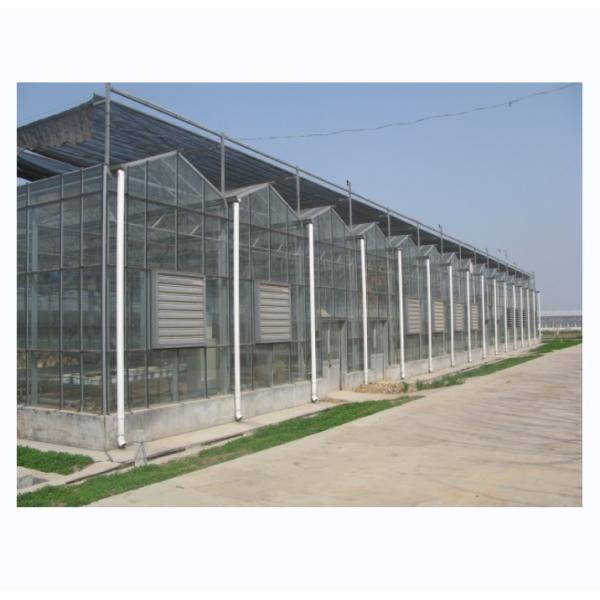 Large Agricultural Greenhouse with Galvanized Steel Frame and Optional Cooling