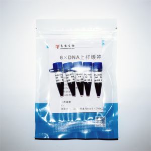 Two Color DNA Electrophoresis Buffer GDSBio Gel Electrophoresis Buffer