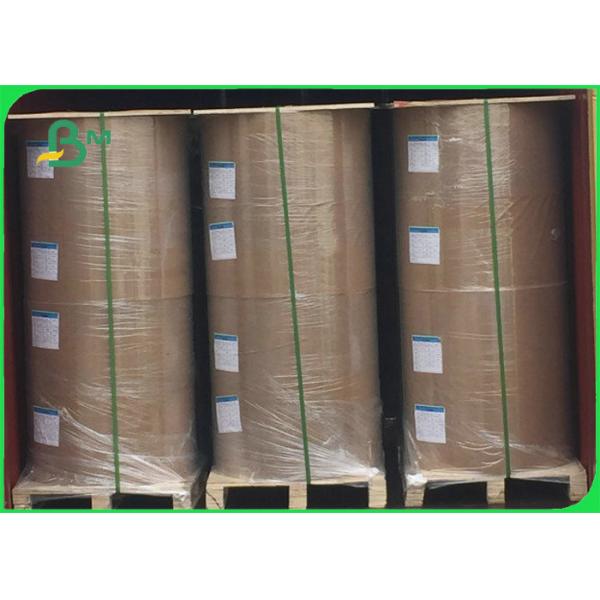 300gsm Clay Coated Kraft Back Paper For Takeway Food Containers 79 x 109cm