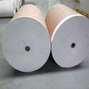 Dual Sided PE Coated Cupstock Paper Oil Resistant Customizable Printing