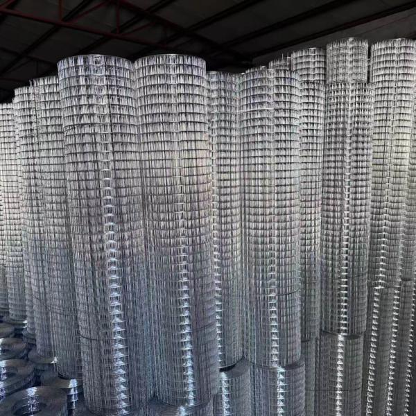 Pre Galvanized Welded Wire Mesh Roll No Rust Low Maintenance 25m 30m 50m Length