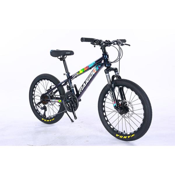 20*2.125 WANDA Tyre Steel Frame 21speed Children's Bike With Mechanical Disc Brake