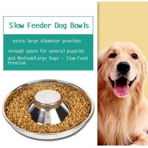 International Stainless Steel Puppy Bowls