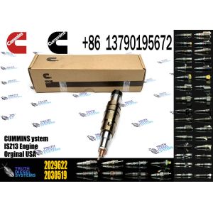 High-quality Engine Parts for Construction Machinery Fuel Injector 2029622